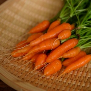 Baby_Carrots_2