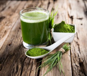 wheatgrass