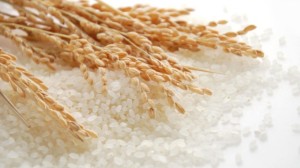 rice-625_625x350_71426749881