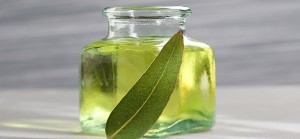 5063-eucalyptus-oil-for-skin-hair-health