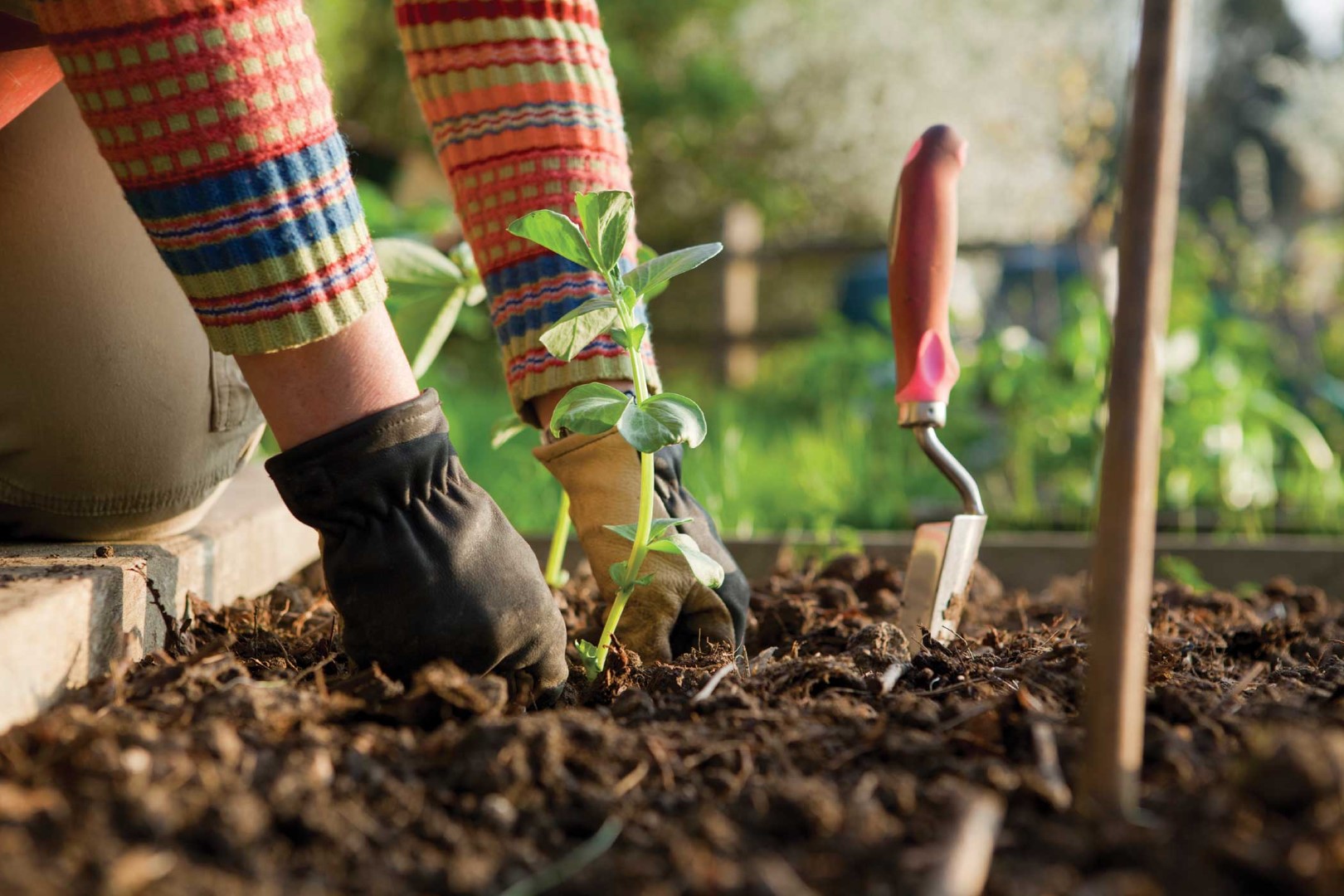 BACKGROUND-gardening